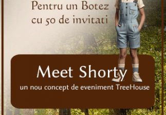 Locatiile TreeHouse - locatii de evenimente botez in aer liber in natura la padure cu piscina