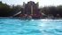 Locatiile TreeHouse - locatii de botez in aer liber in natura - top locatii de botez la padure-piscina